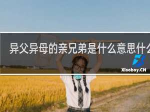异父异母的亲兄弟是什么意思什么梗