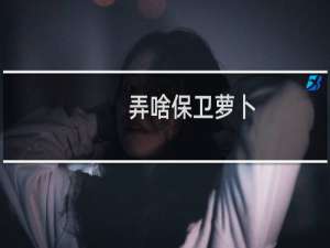 弄啥保卫萝卜