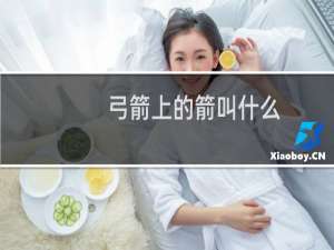 弓箭上的箭叫什么