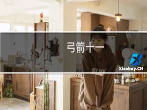弓箭十一