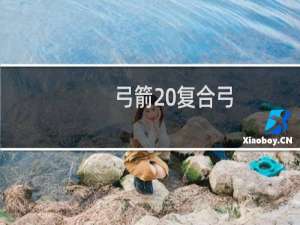 弓箭 复合弓