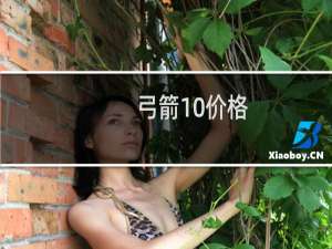 弓箭10价格