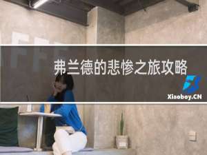 弗兰德的悲惨之旅攻略