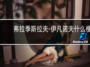 弗拉季斯拉夫·伊凡诺夫什么梗