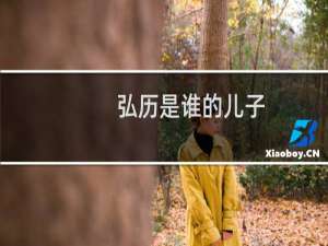 弘历是谁的儿子