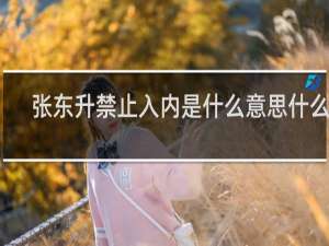 张东升禁止入内是什么意思什么梗