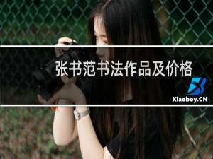 张书范书法作品及价格