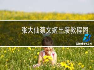 张大仙蔡文姬出装教程图