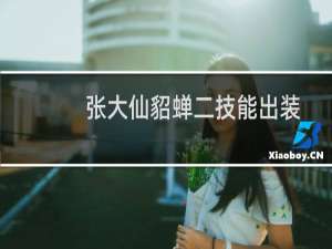张大仙貂蝉二技能出装