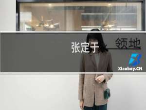 张定于