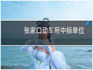 张家口动车所中标单位