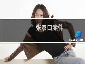 张家口案件