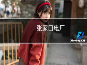 张家口电厂