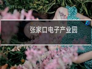 张家口电子产业园