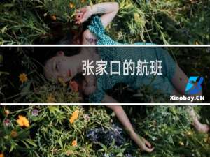 张家口的航班