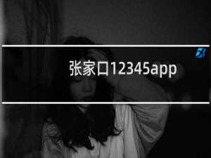 张家口12345app