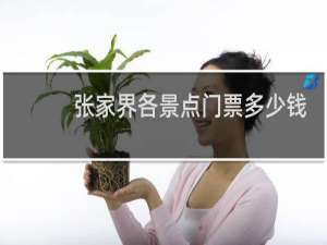 张家界各景点门票多少钱