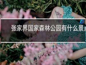 张家界国家森林公园有什么景点
