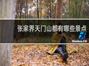 张家界天门山都有哪些景点