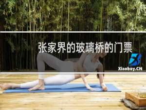 张家界的玻璃桥的门票
