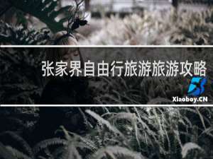 张家界自由行旅游旅游攻略