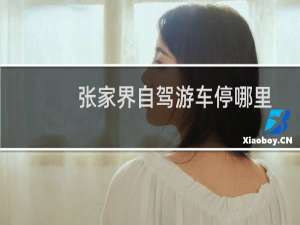 张家界自驾游车停哪里
