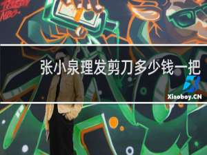 张小泉理发剪刀多少钱一把