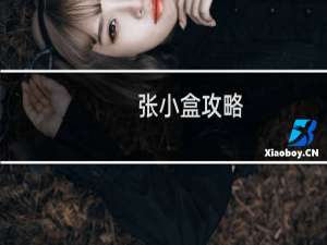 张小盒攻略