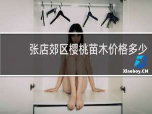 张店郊区樱桃苗木价格多少