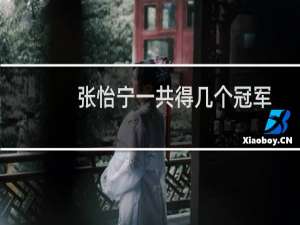 张怡宁一共得几个冠军