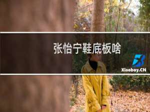 张怡宁鞋底板啥