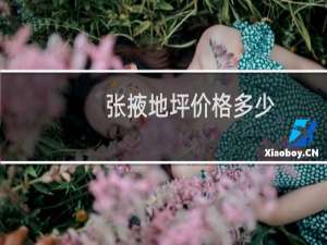 张掖地坪价格多少