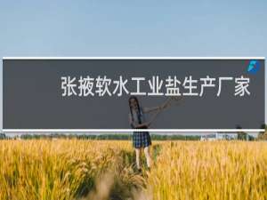 张掖软水工业盐生产厂家