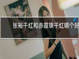 张裕干红和赤霞珠干红哪个好