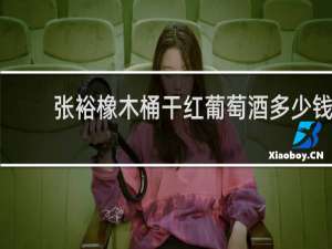 张裕橡木桶干红葡萄酒多少钱