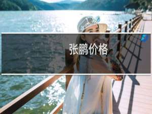 张鹏价格