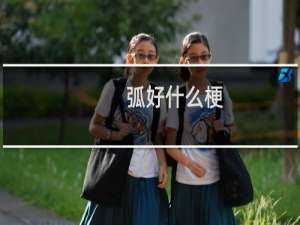 弧好什么梗