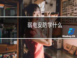 弱电安防学什么