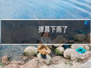 弹幕下雨了 原来你把我整无语了什么梗