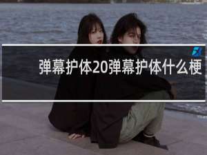 弹幕护体 弹幕护体什么梗
