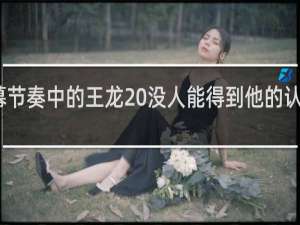 弹幕节奏中的王龙 没人能得到他的认可什么梗