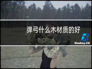 弹弓什么木材质的好
