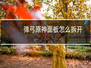 弹弓原神面板怎么拆开
