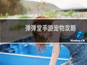 弹弹堂手游宠物攻略