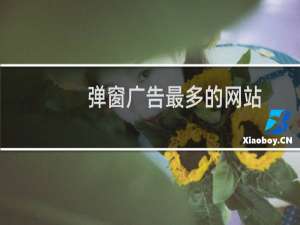 弹窗广告最多的网站