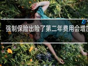 强制保险出险了第二年费用会增加吗