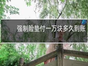 强制险垫付一万块多久到账