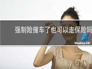 强制险撞车了也可以走保险吗