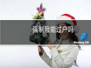 强制险能过户吗