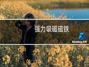强力吸磁磁铁